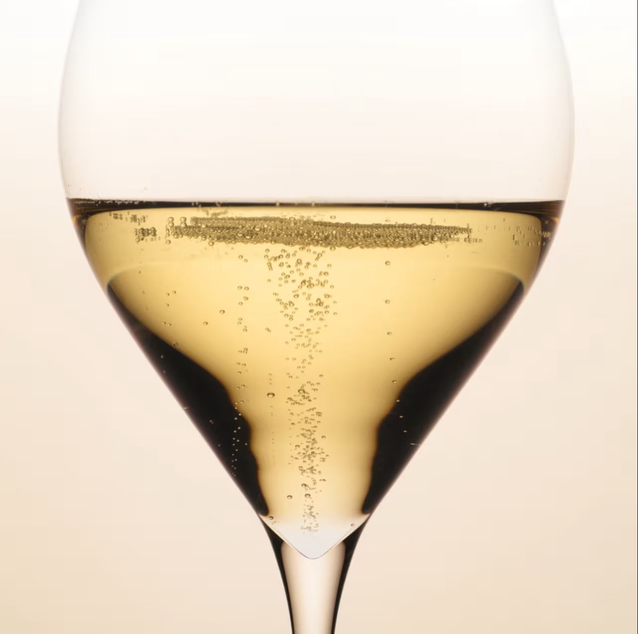 Veuve Clicquot Ponsardin Brut Vintage Champagne